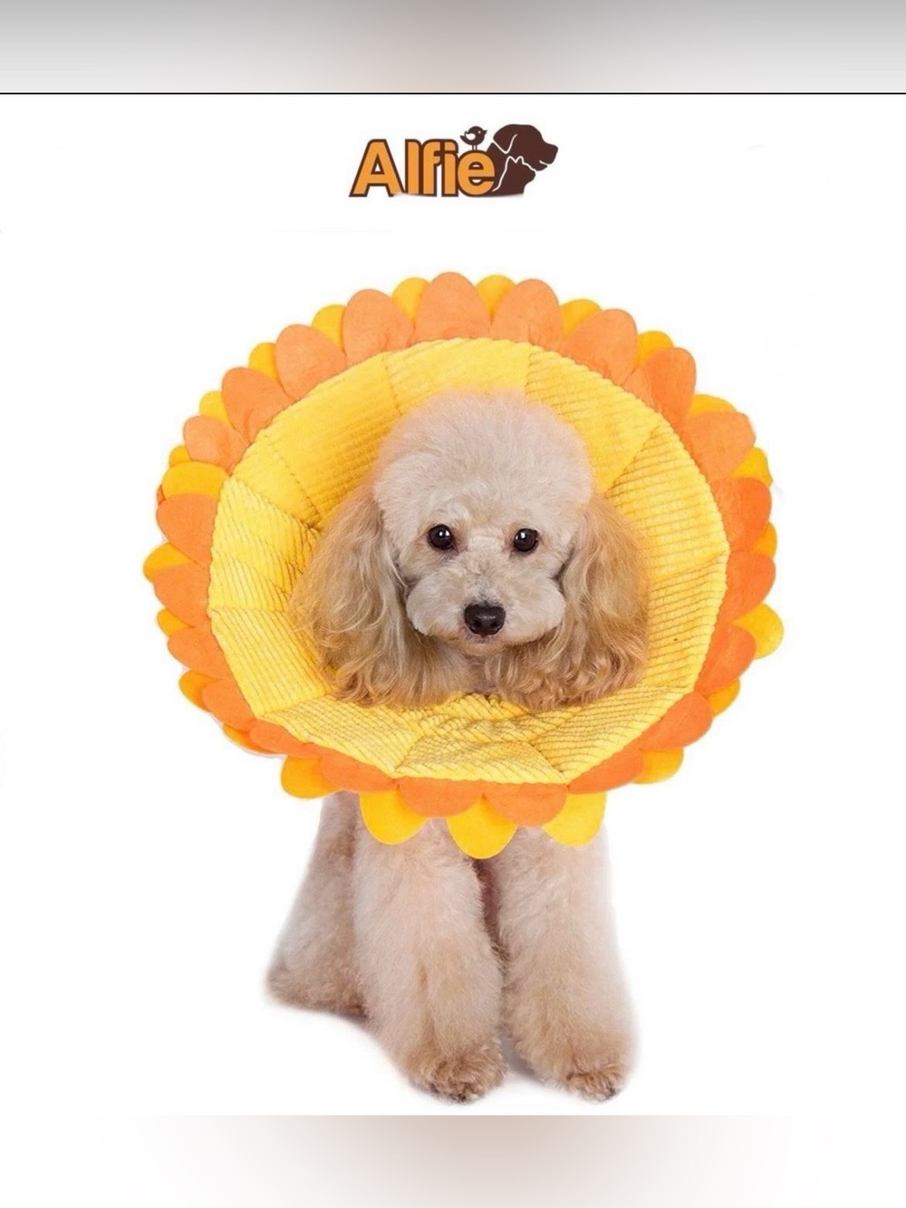 Alfie Pet Noah Recovery Collar Sizes L, XL, XXL Dog Sunflower Style• Can Be Used